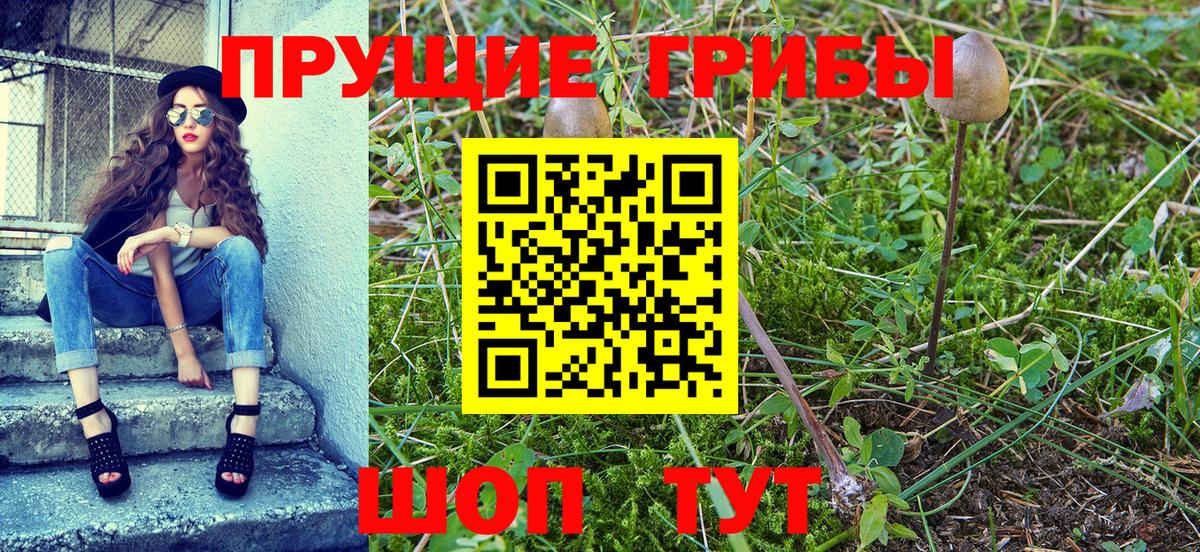 Иваново  где продают наркотики  Вход с VPN  Галлюциногенные грибы Cubensis 