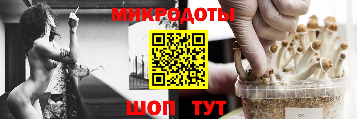 Галлюциногенные грибы GOLDEN TEACHER Иваново